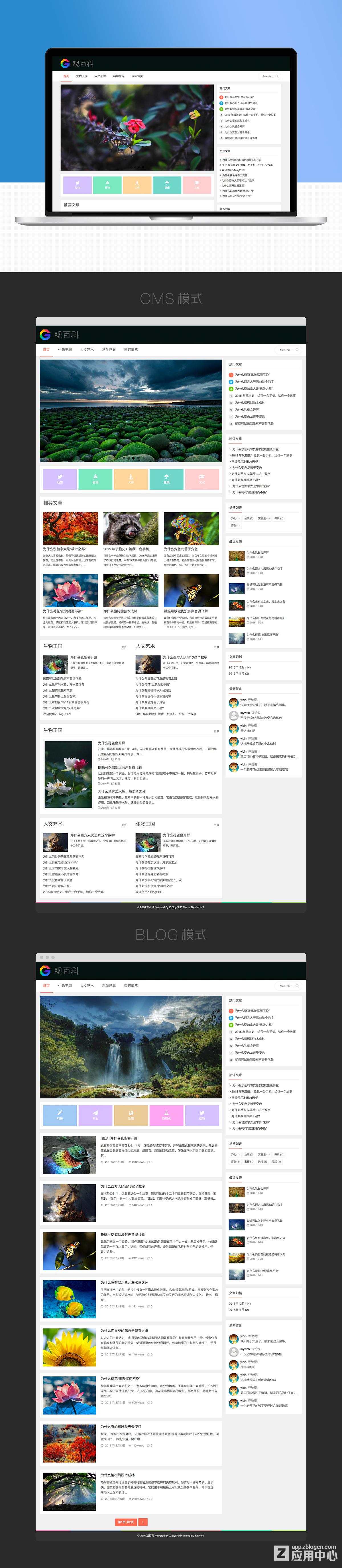 zblog高性价比主题，多布局响应式主题 建站教程 第8张
